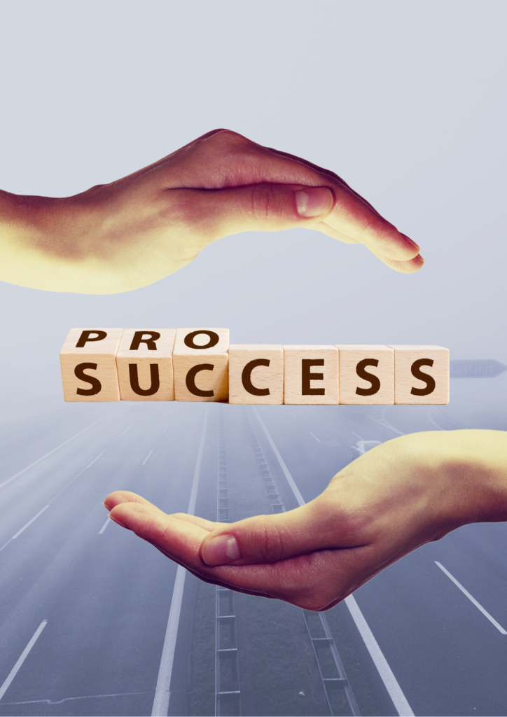 Process-Success-Implementation-724x1024