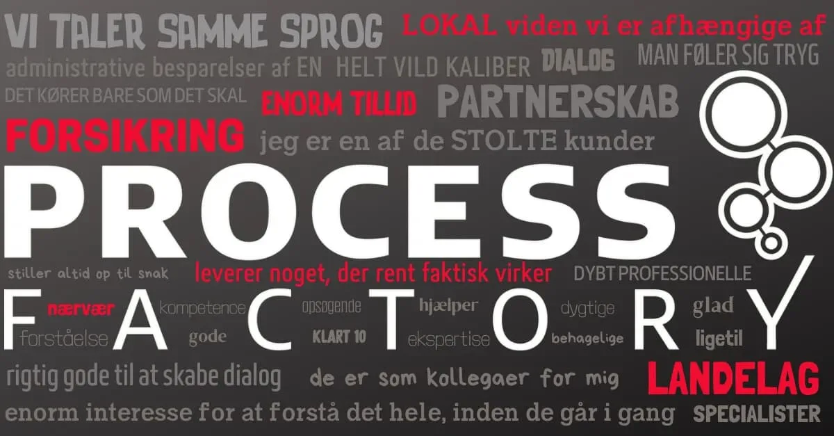 Wordcloud med citater fra Process Factorys kunder